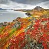 images/Gallery Northwest/p170002-012-NWPFallscenebyMichelleValberg-1000 pixels @ 72 dpi.jpg